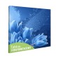 Tablou fosforescent﻿ Flori inghetate