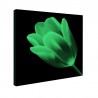Tablou fosforescent﻿ Lalea rosie