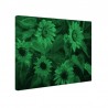 Tablou fosforescent﻿ Florile soarelui
