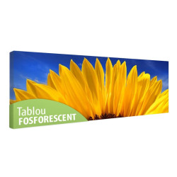 Tablou fosforescent﻿ Floarea soarelui macro