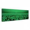 Tablou fosforescent Camp cu floarea soarelui