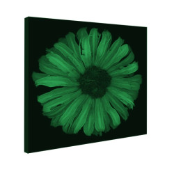 Tablou fosforescent﻿ Floarea soarelui abstract