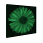Tablou fosforescent﻿ Floarea soarelui abstract