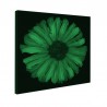 Tablou fosforescent﻿ Floarea soarelui abstract