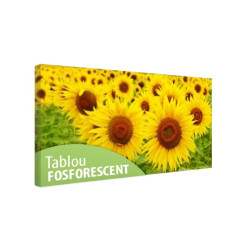 Tablou fosforescent E soare!