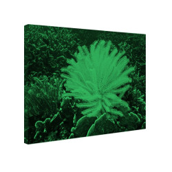Tablou fosforescent Crin de mare galben