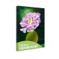 Tablou fosforescent Bujor