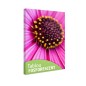 Tablou fosforescent Margareta roz