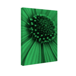 Tablou fosforescent Margareta roz