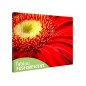 Tablou fosforescent Gerbera rosie
