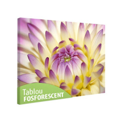 Tablou fosforescent Floarea se deschide