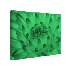 Tablou fosforescent Floarea se deschide