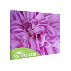 Tablou fosforescent Floare violet in detaliu