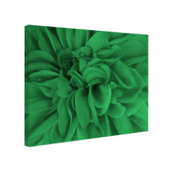 Tablou fosforescent Floare violet in detaliu