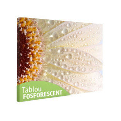 Tablou fosforescent Roua