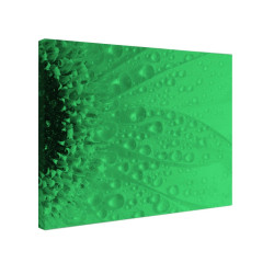 Tablou fosforescent Roua
