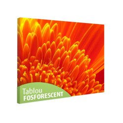 Tablou fosforescent Crizantema portocalie