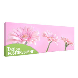Tablou fosforescent Fundal roz