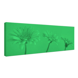 Tablou fosforescent Fundal roz
