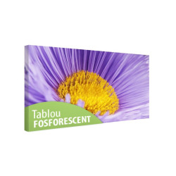 Tablou fosforescent Floare macro