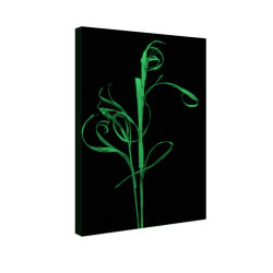 Tablou fosforescent Spic