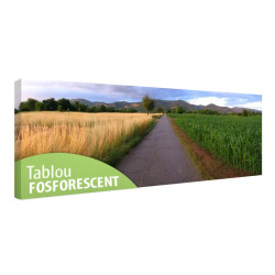 Tablou fosforescent Cereale