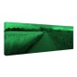 Tablou fosforescent Cereale