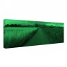Tablou fosforescent Cereale