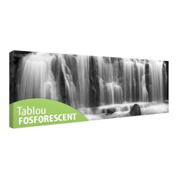 Tablou fosforescent Cascada