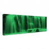 Tablou fosforescent Cascada