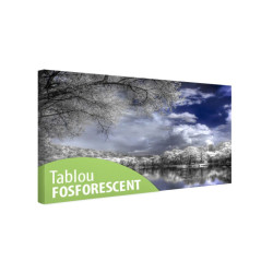 Tablou fosforescent Padurea in format digital