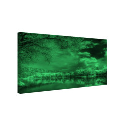 Tablou fosforescent Padurea in format digital