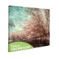 Tablou fosforescent Lacul si copacii