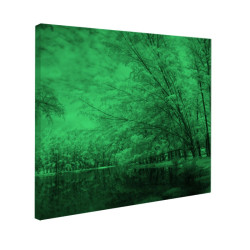 Tablou fosforescent Lacul si copacii