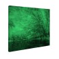 Tablou fosforescent Lacul si copacii