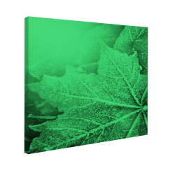 Tablou fosforescent Frunze textura de iarna
