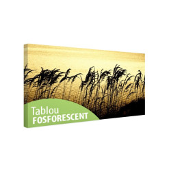Tablou fosforescent Trestie si papura