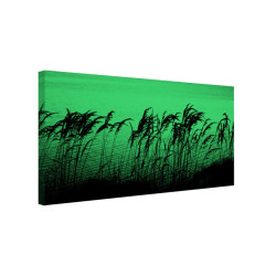 Tablou fosforescent Trestie si papura