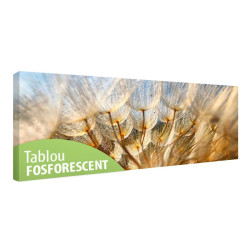Tablou fosforescent Papadie