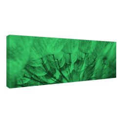 Tablou fosforescent Papadie
