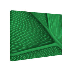 Tablou fosforescent Frunza verde