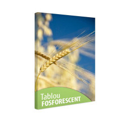 Tablou fosforescent Spic de grau