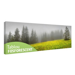Tablou fosforescent Peisaj carpatin