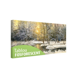 Tablou fosforescent Iarna pe lac