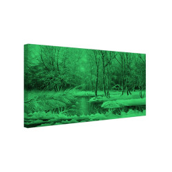 Tablou fosforescent Iarna pe lac
