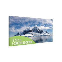 Tablou fosforescent Antarctica