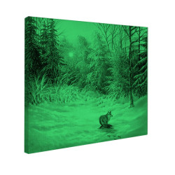 Tablou fosforescent Peisaj de iarna