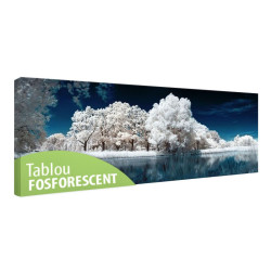 Tablou fosforescent Lac inghetat