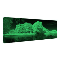 Tablou fosforescent Lac inghetat