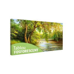 Tablou fosforescent Salcie